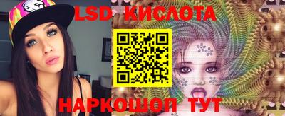 хмурый Новозыбков