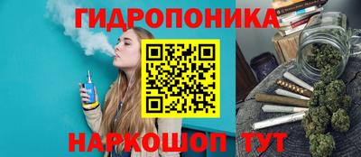 хмурый Новозыбков
