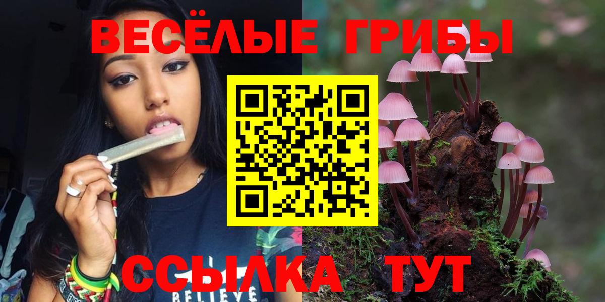 Псилоцибиновые грибы мухоморы Североморск